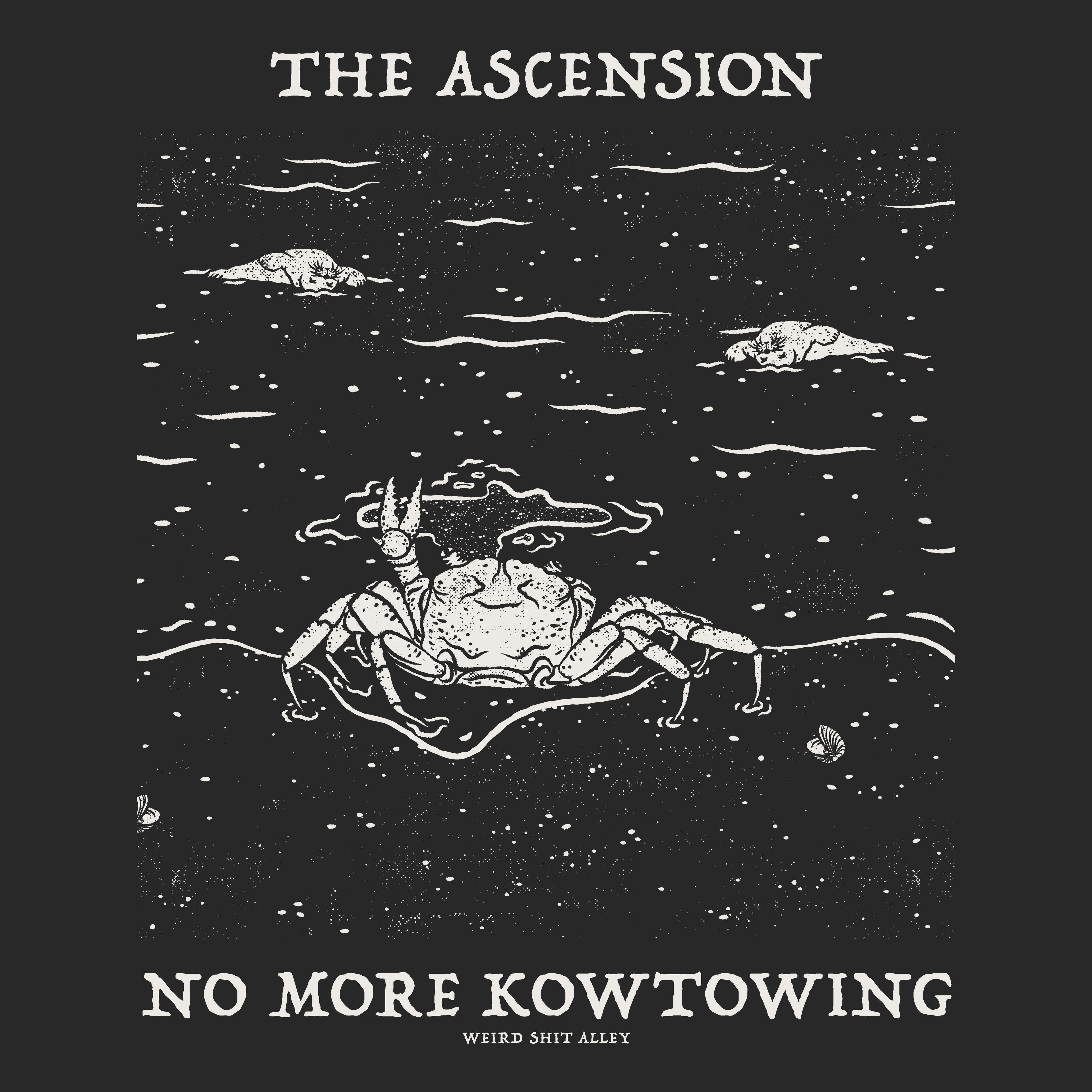 dungeon crawler carl raul ascension shirt product mockup detailed image