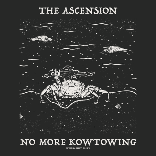 dungeon crawler carl raul ascension shirt product mockup detailed image