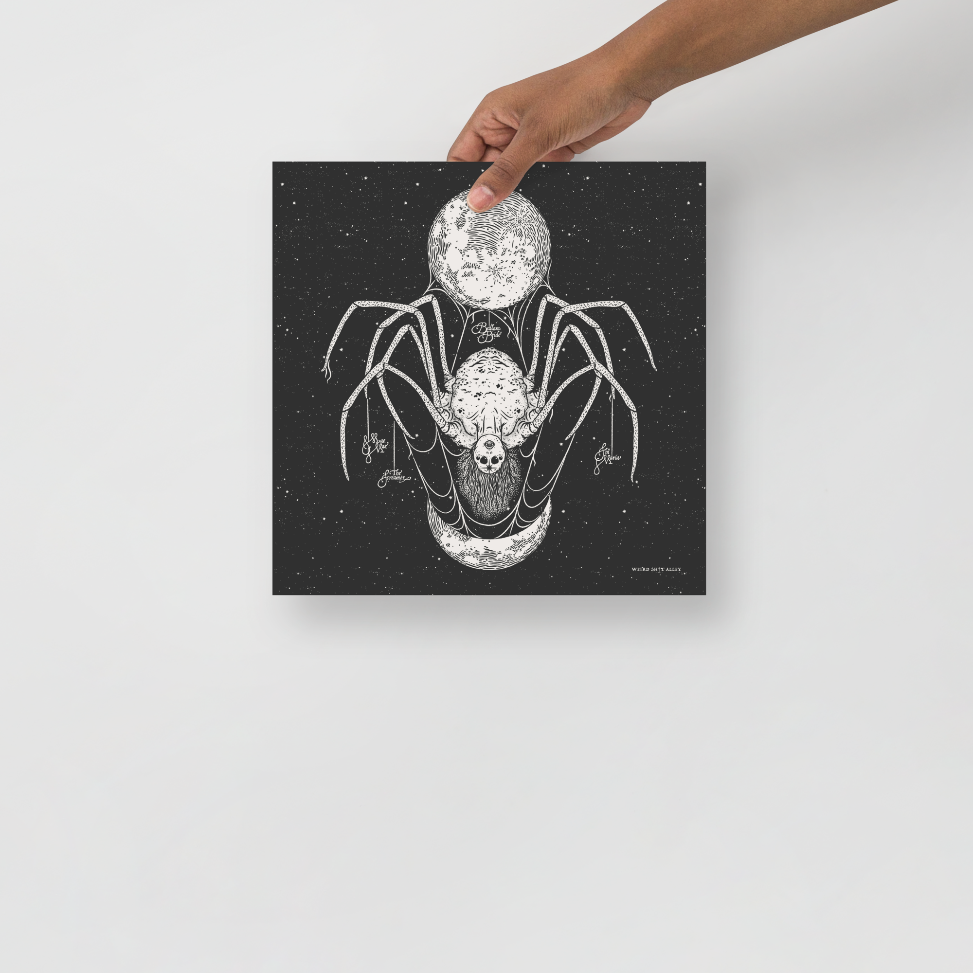 weird shit alley dungeon crawler carl shi maria bedlam bride art print product image