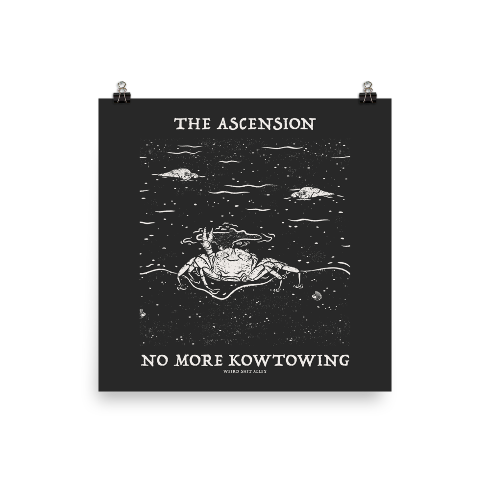 dungeon crawler carl raul ascension shirt product mockup detailed image