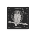 weird shit alley dungeon crawler carl skyfowl donut art print product image