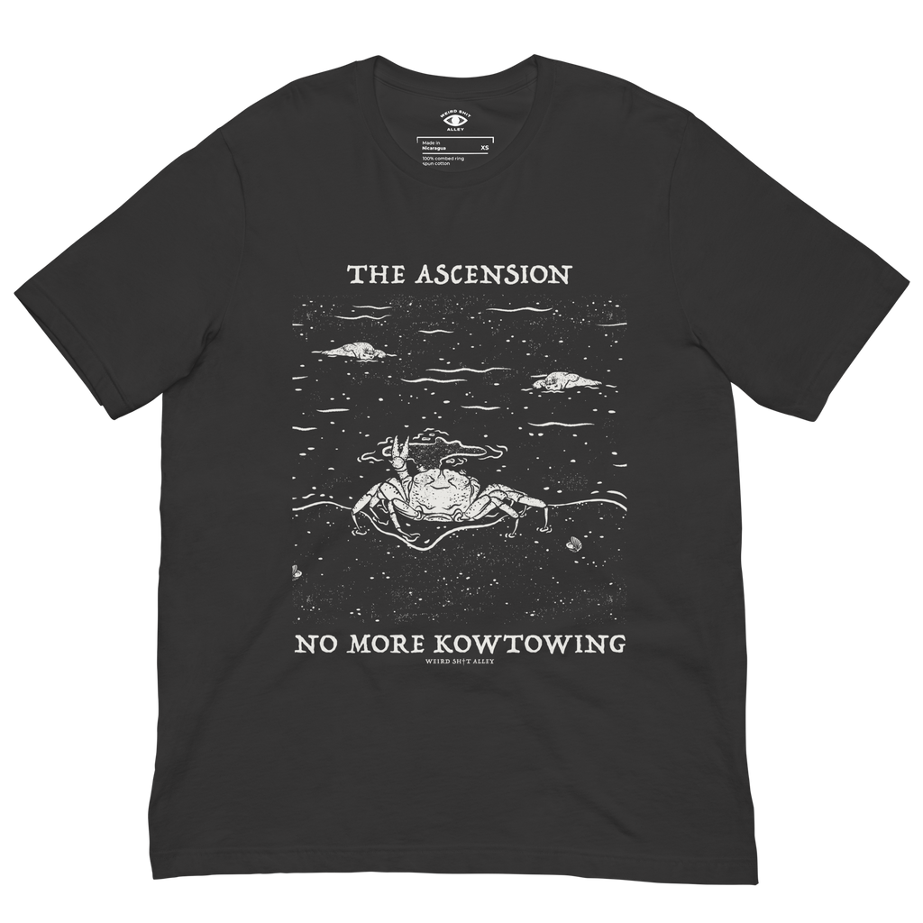dungeon crawler carl raul ascension shirt product mockup