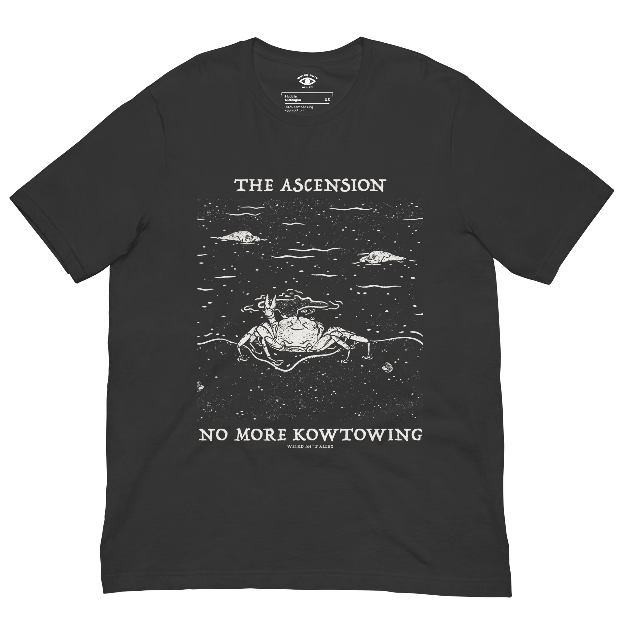 dungeon crawler carl raul ascension shirt product mockup