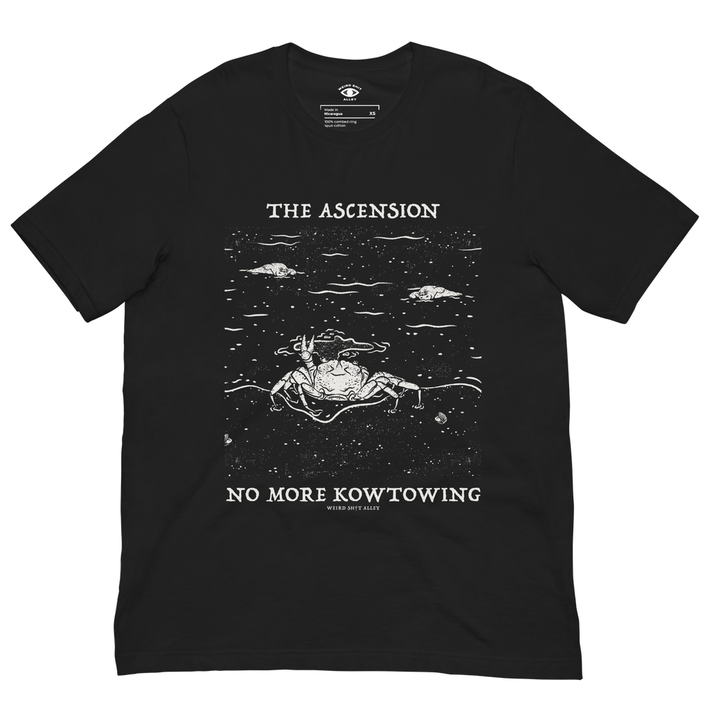 dungeon crawler carl raul ascension shirt product mockup