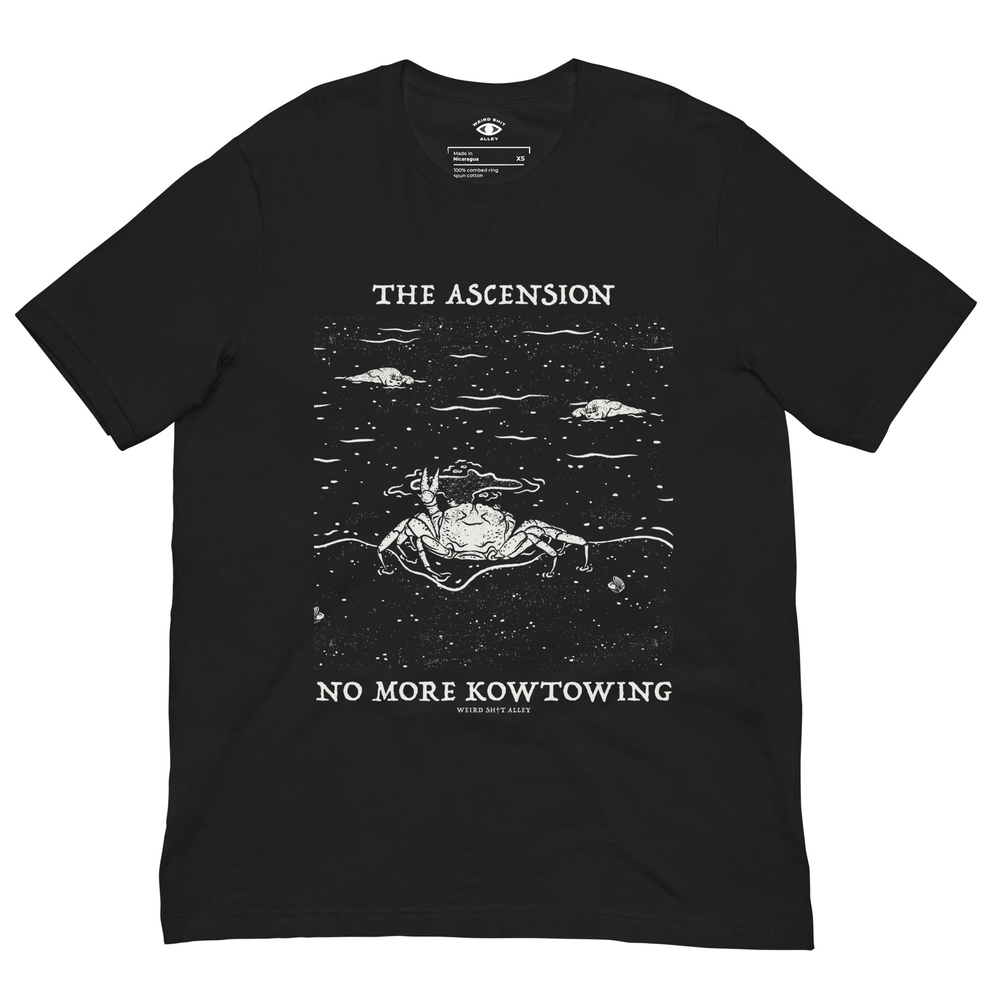 dungeon crawler carl raul ascension shirt product mockup