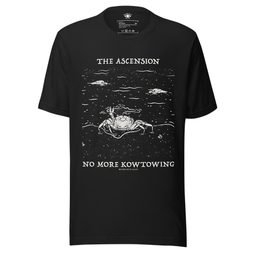 dungeon crawler carl raul ascension shirt product mockup