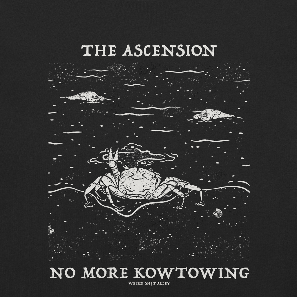dungeon crawler carl raul ascension shirt product mockup