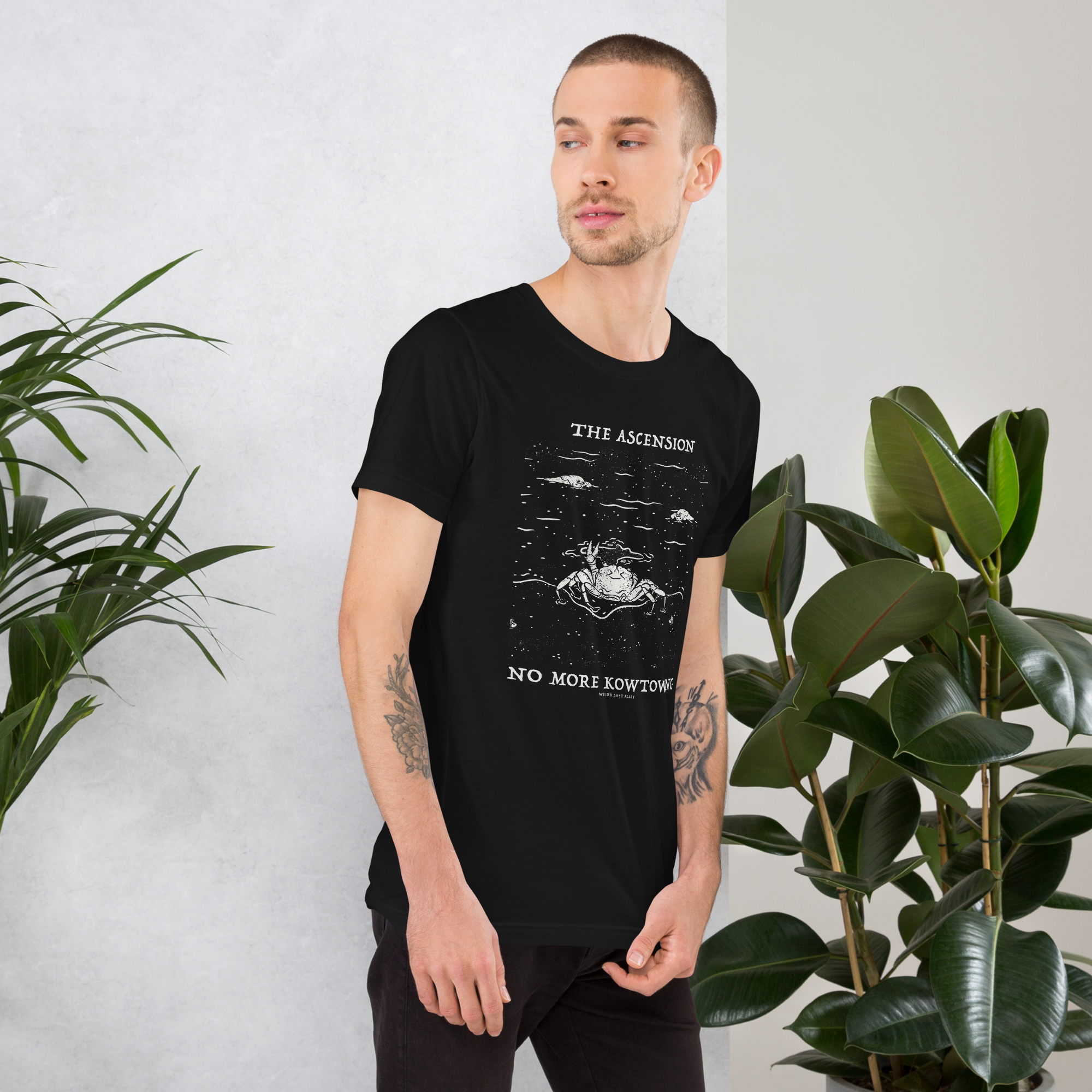 dungeon crawler carl raul ascension shirt product mockup