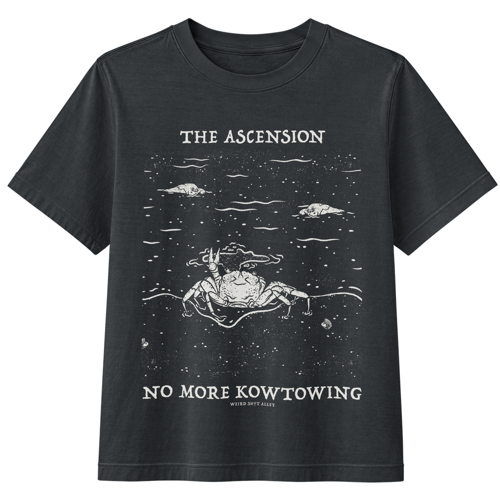 dungeon crawler carl raul ascension shirt product mockup