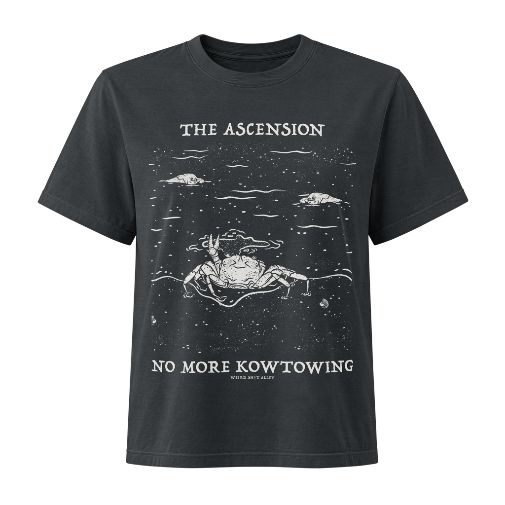 dungeon crawler carl raul ascension shirt product mockup